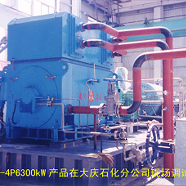 大慶石化（2006年 ，YAKS710-4P，1臺(tái)）